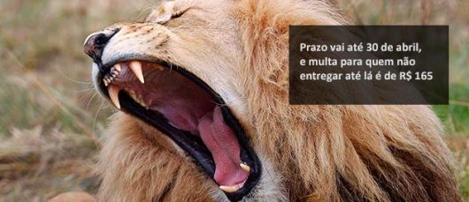 Foto: