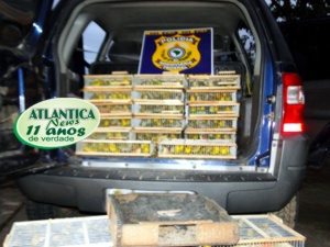 Foto: HUMBERTO NOGUEIRA / ATLANTICA NEWS